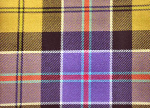Culloden Ancient - Image 2