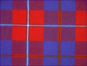 Galloway Red Modern - Image 4