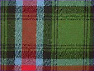 Georgia Modern