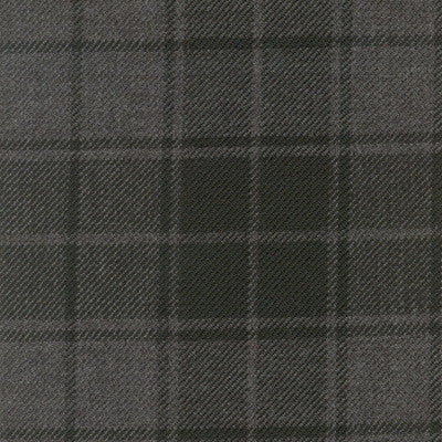 Grey Highlander