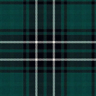 MacLean of Duart Hunting Modern - Image 4