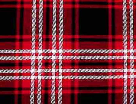 Tweedside Modern